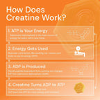 Core - Create Creatine Monohydrate Gummies