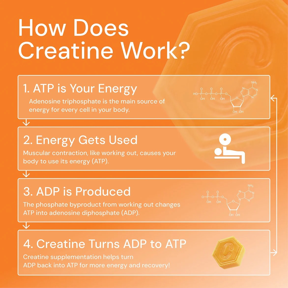 Core - Create Creatine Monohydrate Gummies